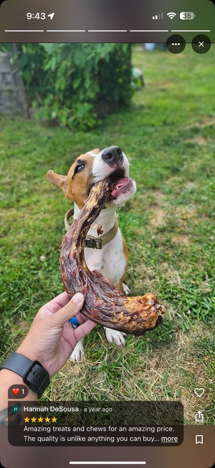Hannah DeSousa’s dog with a dried turkey neck; original review screenshot